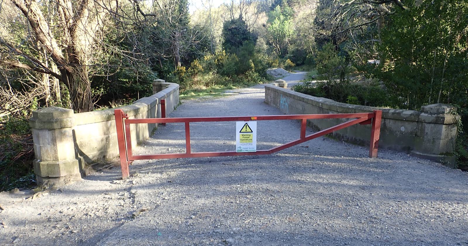 Donard Bridge over the Glen River